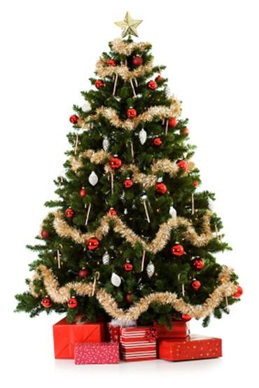 Christmas-Tree.jpg