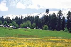 gulmarg-meadows.jpg