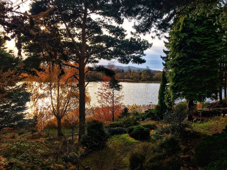 Duddingston Loch.jpg