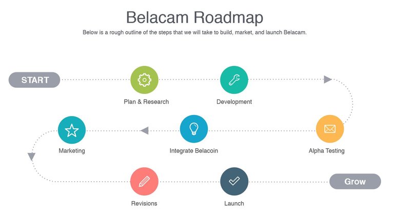 belacam roadmap.JPG