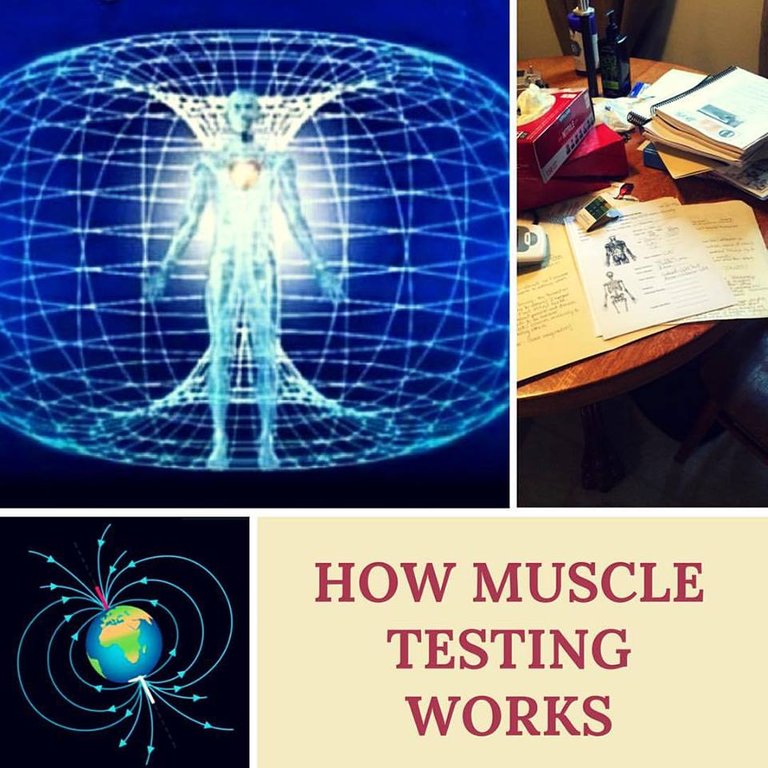 How Muscle Testing Works.jpg