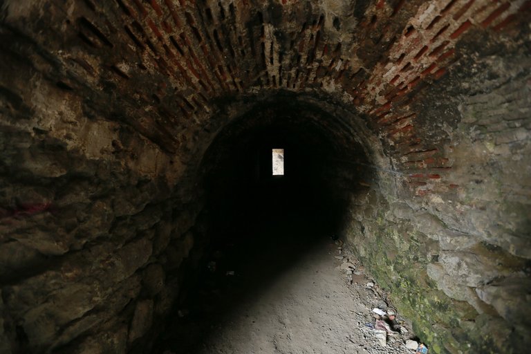 _26V1606.JPG