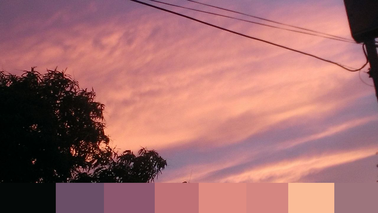 palette3.png