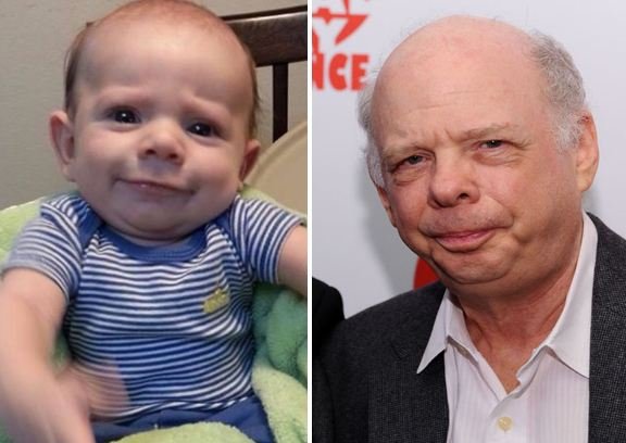 Wallace Shawn.JPG