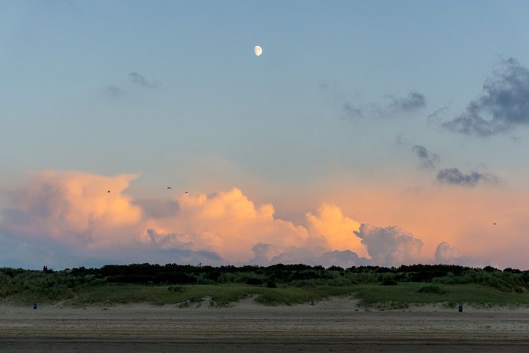 steemit cadzand sunset-01857.jpg