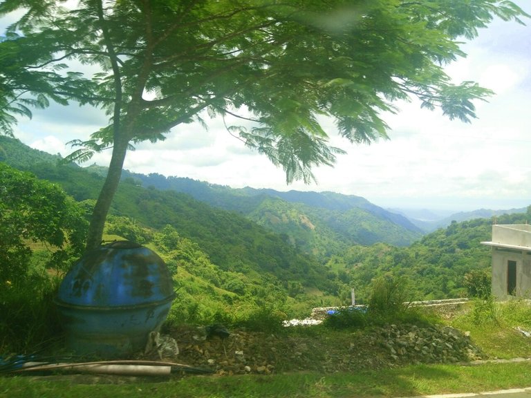 IMG_20170831_064115.jpg