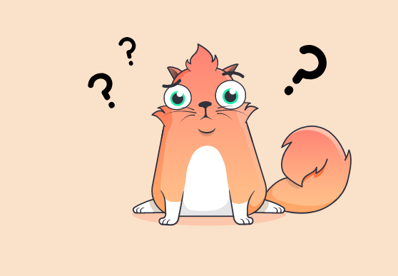 confusedkitty.PNG