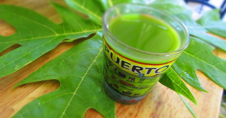 papaya-leaf-juice.jpg