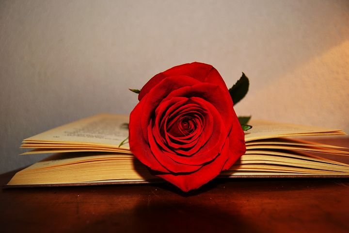 book-2287584__480.jpg