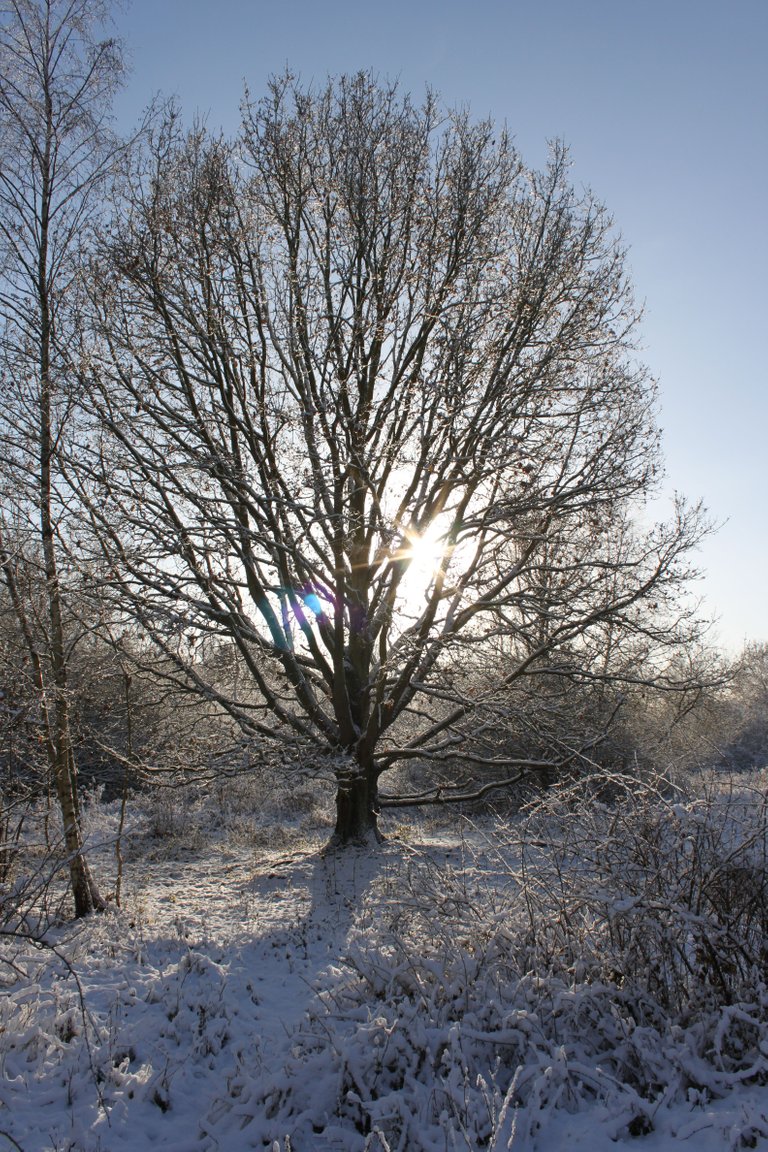 Oude landen 043.JPG