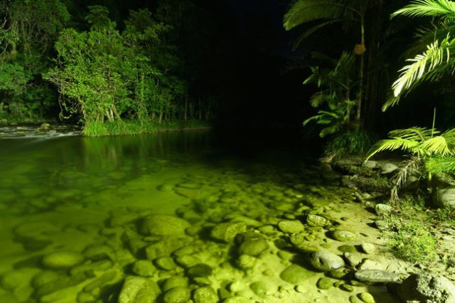 Daintree-National-Park-Australia-Top-10-Places-Where-Man-Has-Never-Set-Foot.jpg