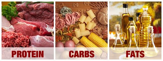 protein carbs fats.jpg