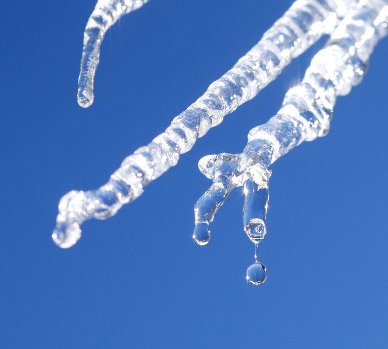 Icicle_string__drop__P1010888.JPG