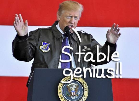 donald-trump-stable-genius__oPt.jpg