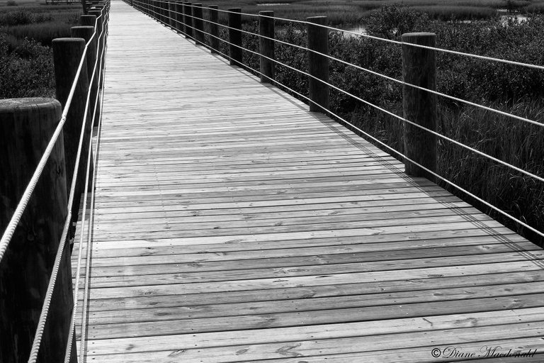 boardwalk over marsh.jpg