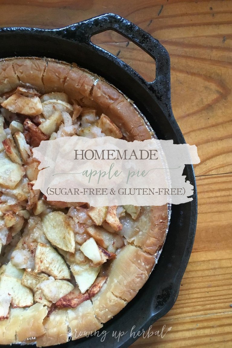 apple-pie-main.jpg