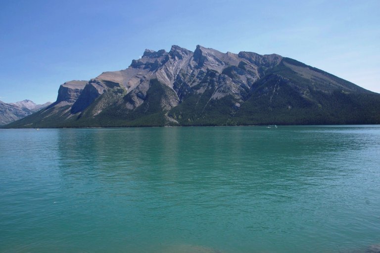 DSC02575.jpg