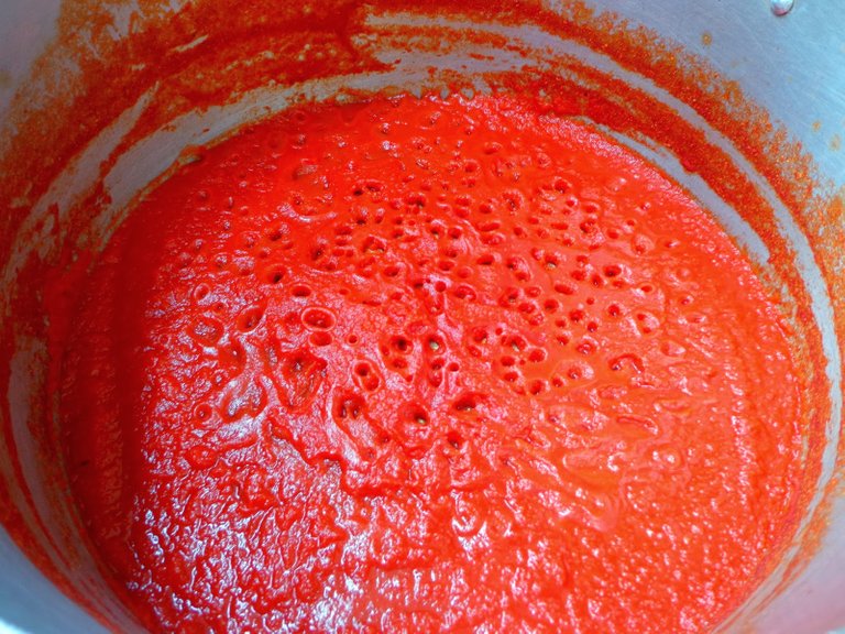 boiled tomato puree.JPG