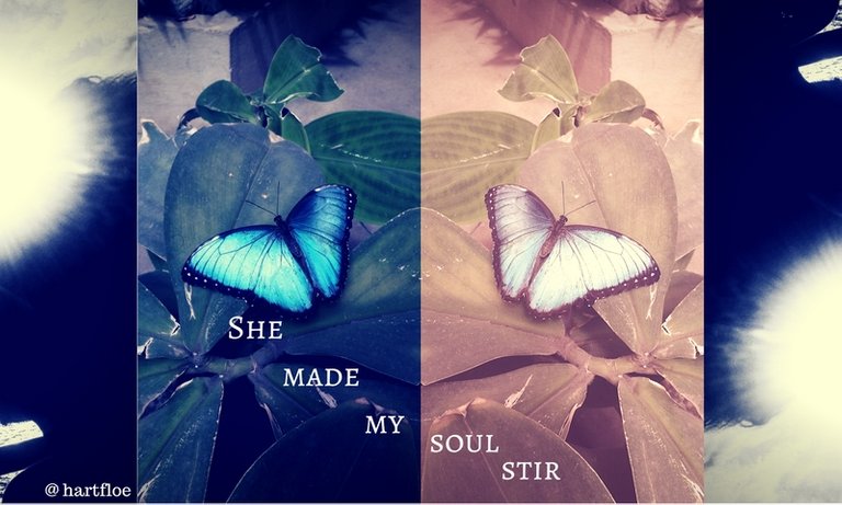 Butterfly 50 Word Poem Competition.jpg