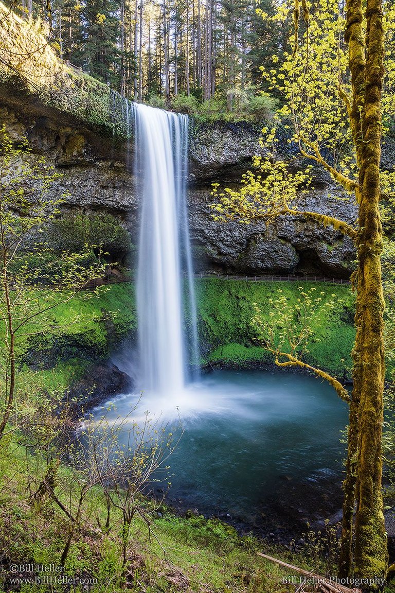 Silver-Falls-Golden-Hour-by-Bill-Heller-LOU_32277_max1600x1280.jpg