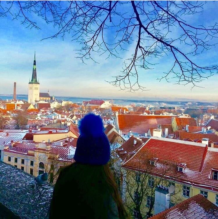 tallinn.jpeg