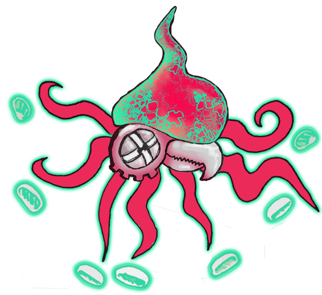 squid 3.png