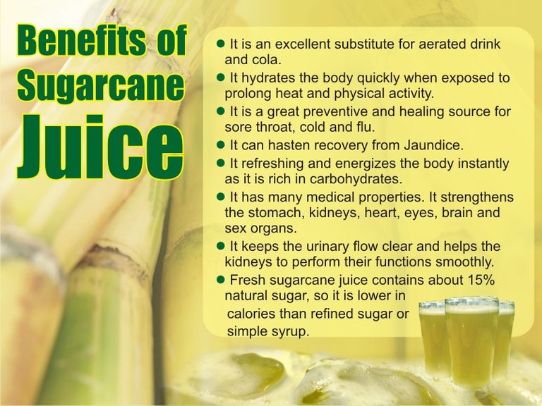 sugarcane-vertical-banner-2.jpg