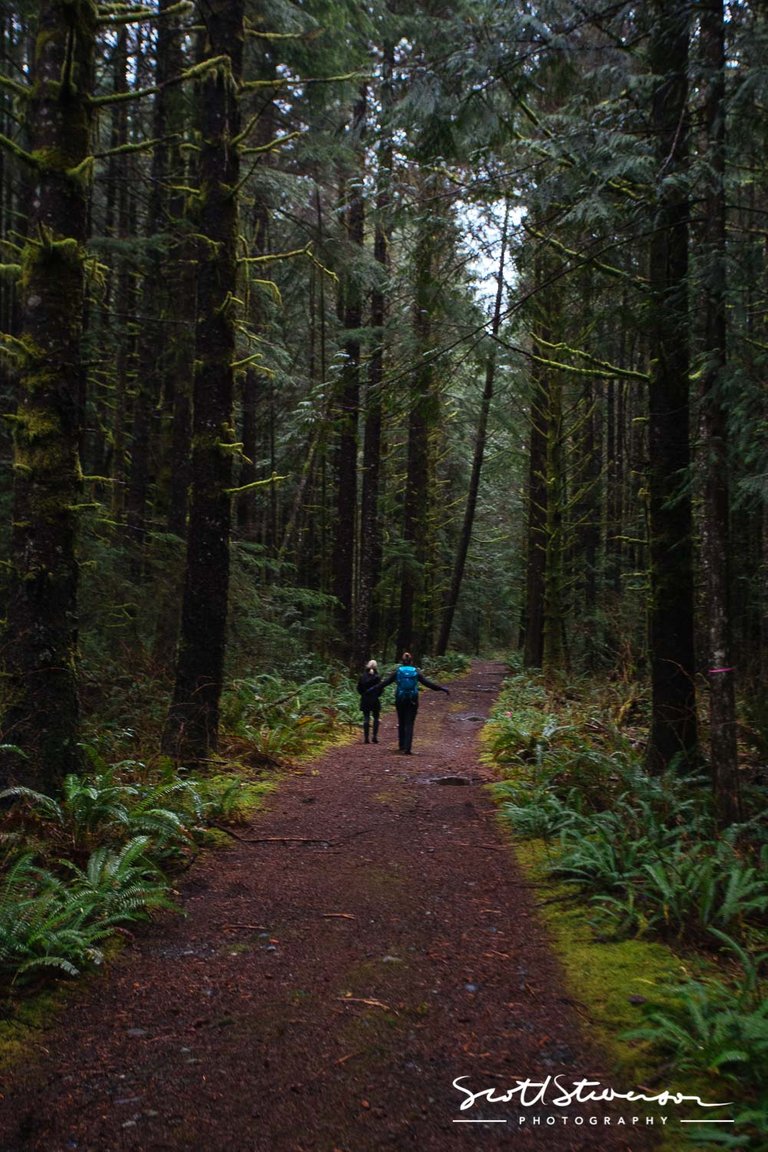 Bear Beach Trail-3.jpg