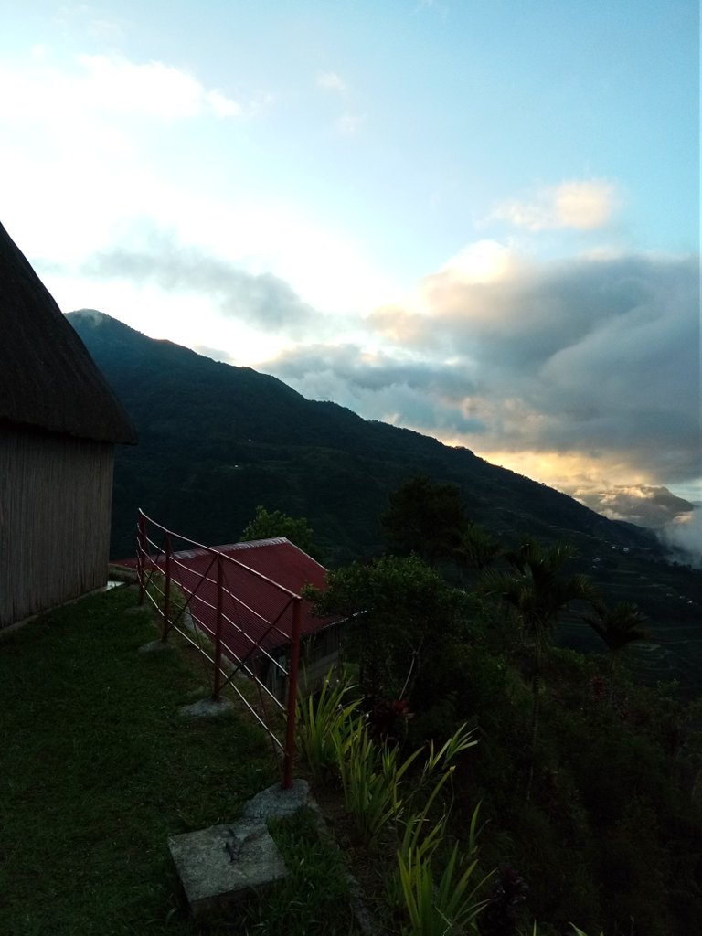 IMG_20180429_054637.jpg