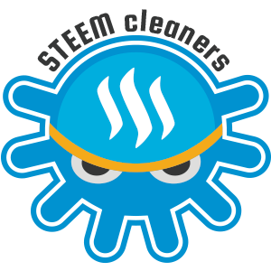 steemcleaners-logo01.png