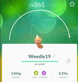 weedle2.JPG