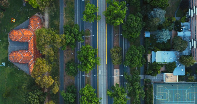 DJI_0006 Satelital Tram rail with trees.JPG