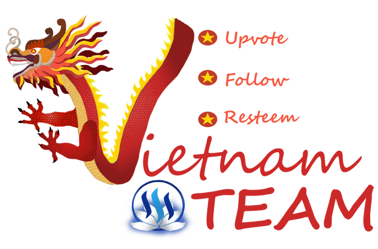 viet1.png