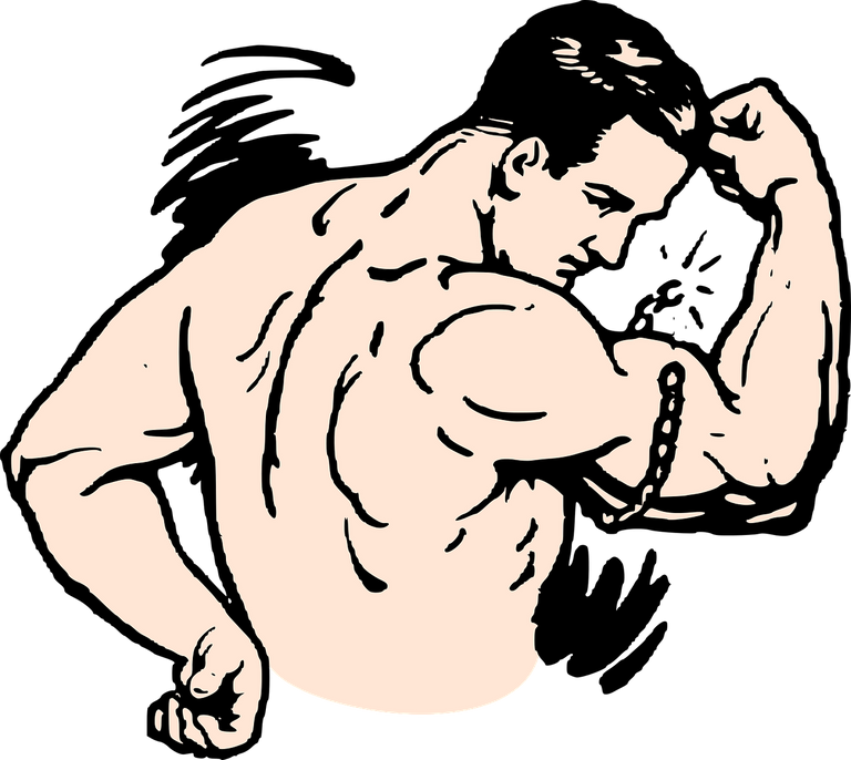 muscles-2026322_1280.png