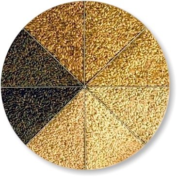 malt-circle.jpg