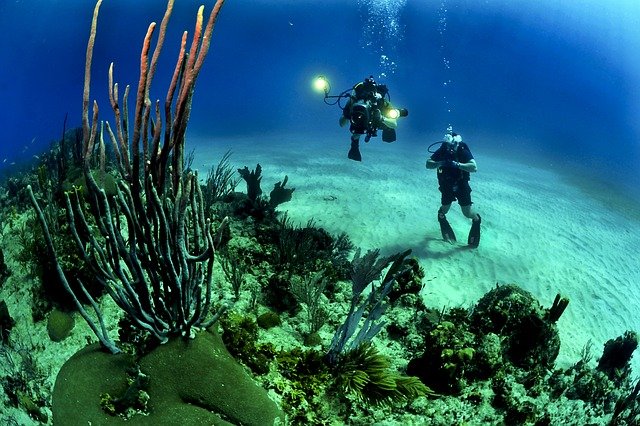 divers-681516_640.jpg