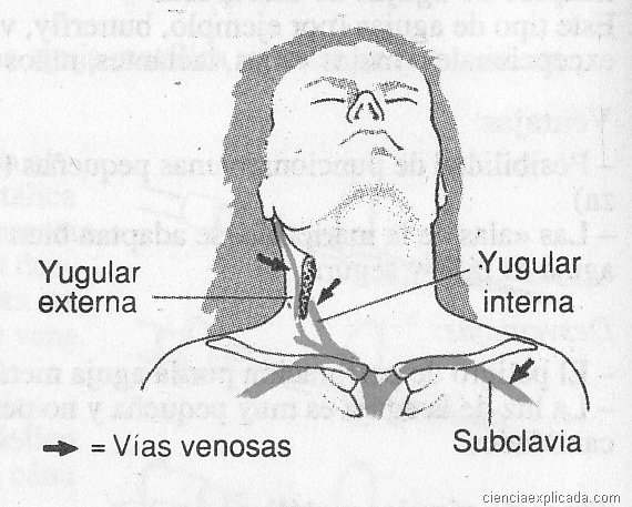 viasvenosascentrales.jpg