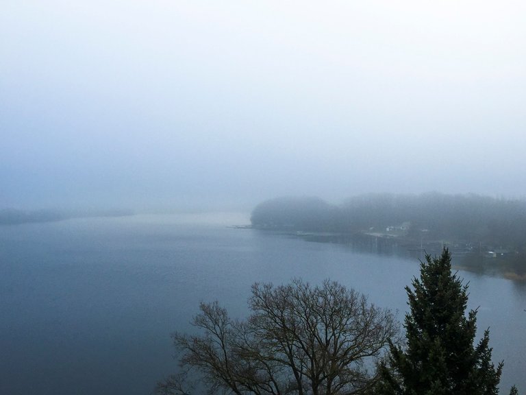 Fog-Glueckstadt-IMG_1218.jpg