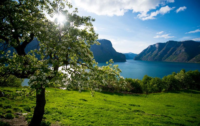 Aurlandsfjord-norway(1).jpg