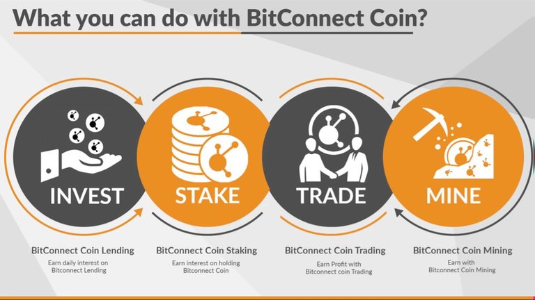 what-to-do-with-bitconnect.jpg