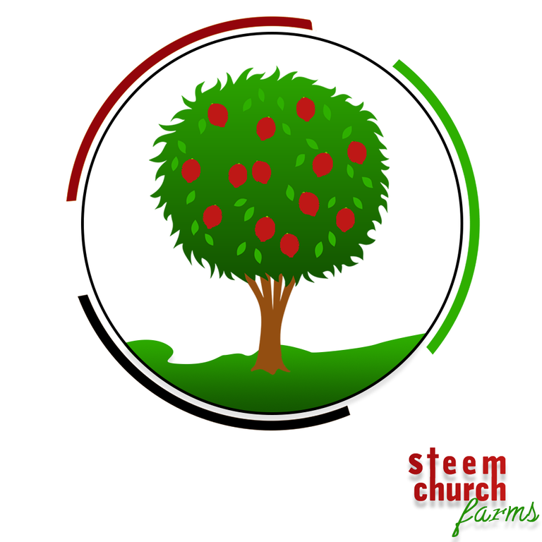 steem church farm 5.png