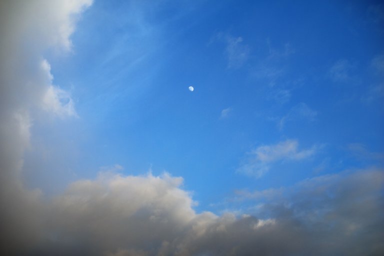 the moon in winter sky.jpg