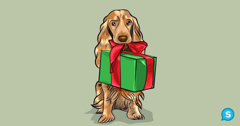 dog-bring-present.jpg