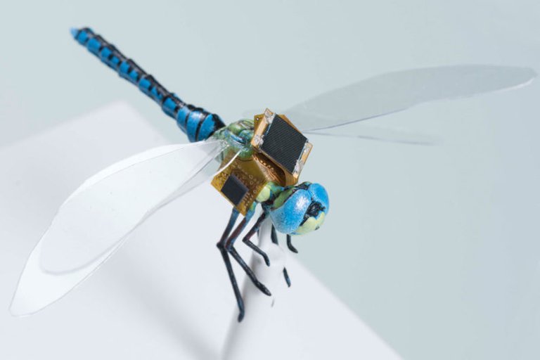 drone-dragonfly.jpg