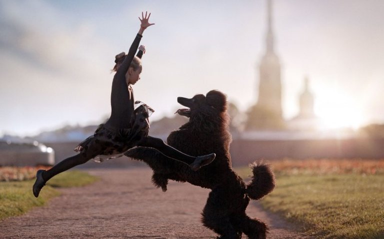 1_CATERS_BLACK_POODLE_BALLET_02-800x498.jpg