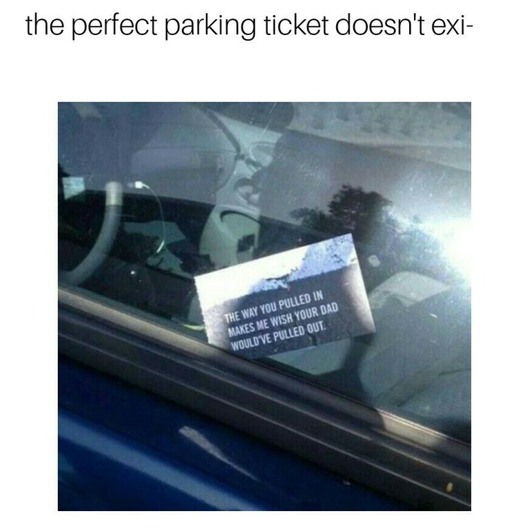 perfect parking ticket.jpg