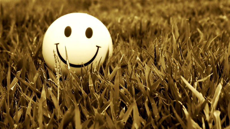 smile_grass_mood_54205_2560x1440.jpg