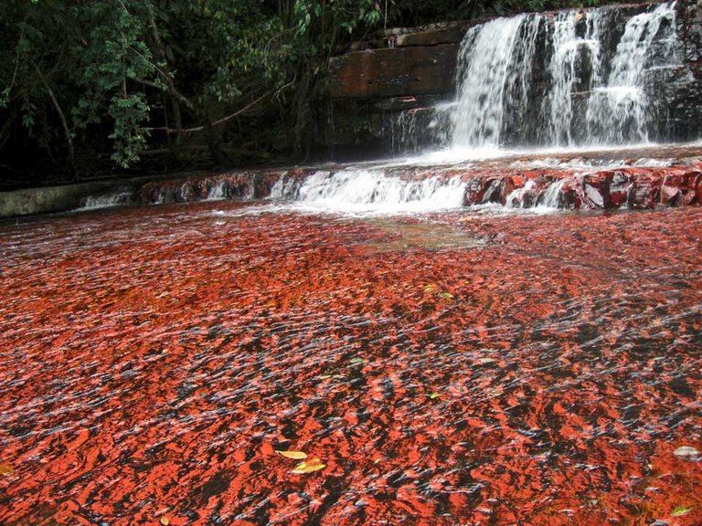 gran-sabana-quebrada-de-jaspe-large.jpg