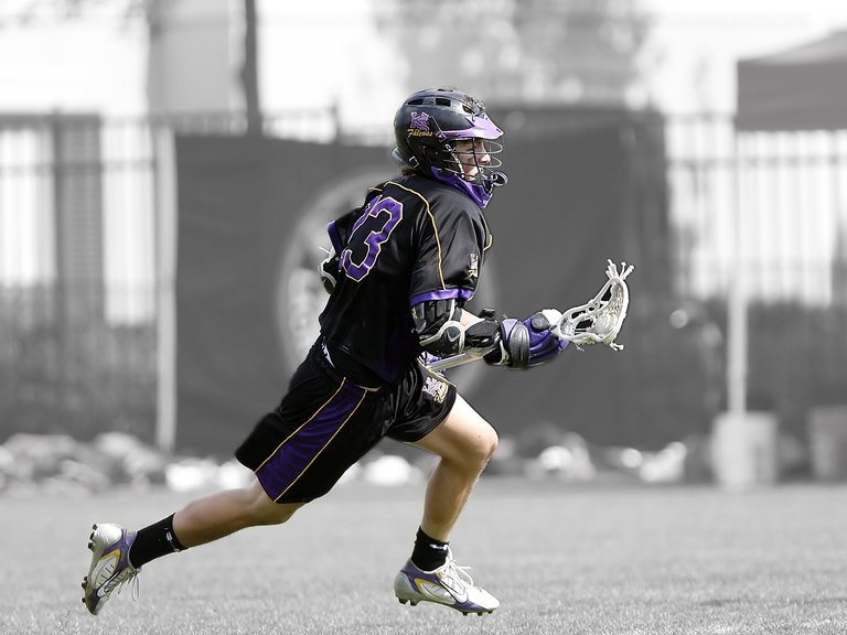 lacrosse-1471740_1920.jpg