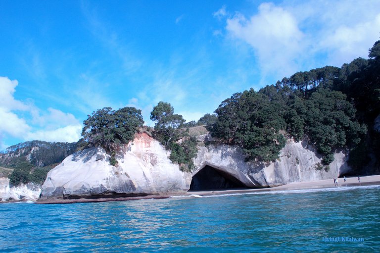 nz6_16.jpg